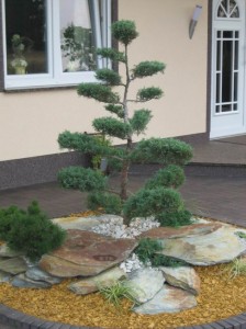Realizacje ogrodów Toruń Bydgoszcz - 839_6e0c89e60bd8504b16166350b39aadd2